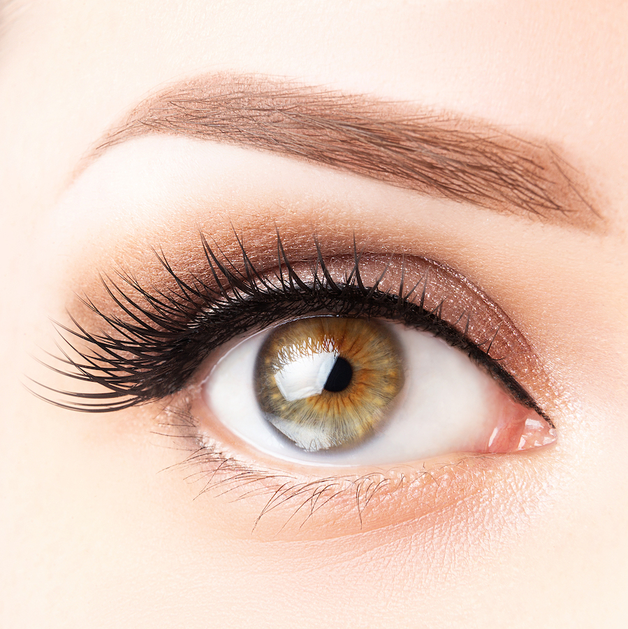Eye With Long Eyelashes, Beautiful Makeup And Light Brown Eyebrow Close-up. Eyelash Lamination, Micr